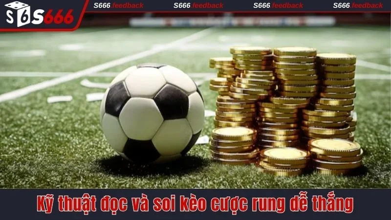 Kỹ thuật đọc và soi kèo cược rung dễ thắng