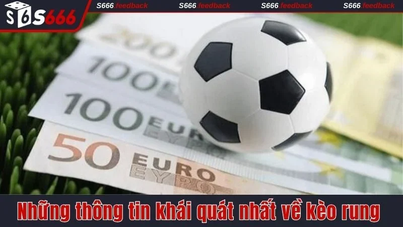 Những thông tin khái quát nhất về kèo rung