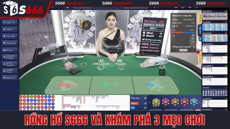 Rồng Hổ S666