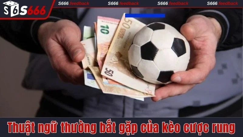 Thuật ngữ thường bắt gặp của kèo cược rung